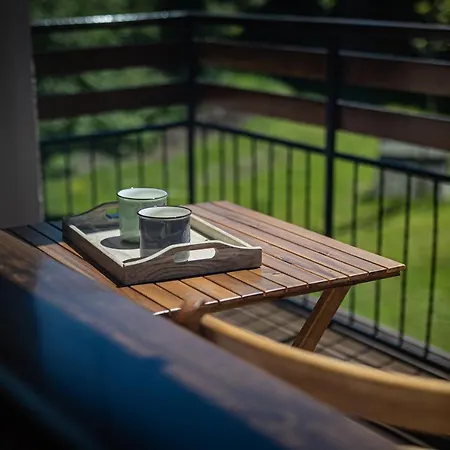 Апартаменты Zacisze Pod Reglami & Sauna