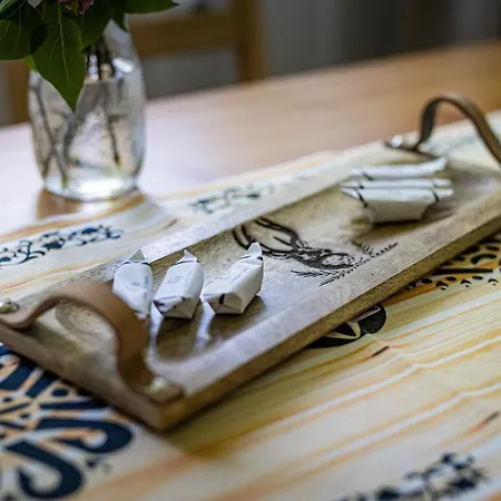 Zacisze Pod Reglami&sauna *