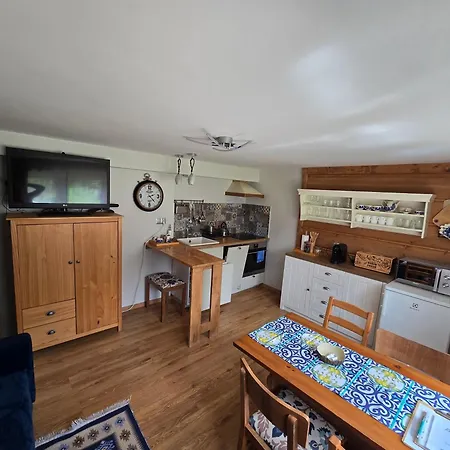 Zacisze Pod Reglami&sauna Apartament