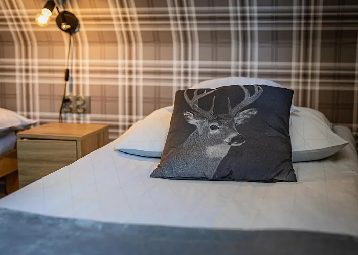 Zacisze Pod Reglami & Sauna アパート