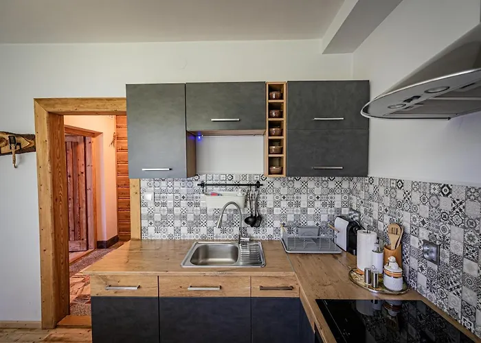 アパート Zacisze Pod Reglami & Sauna ザコパネ