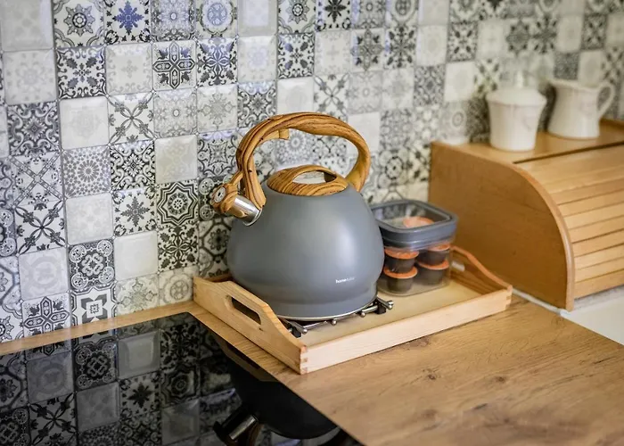 アパート Zacisze Pod Reglami & Sauna ザコパネ