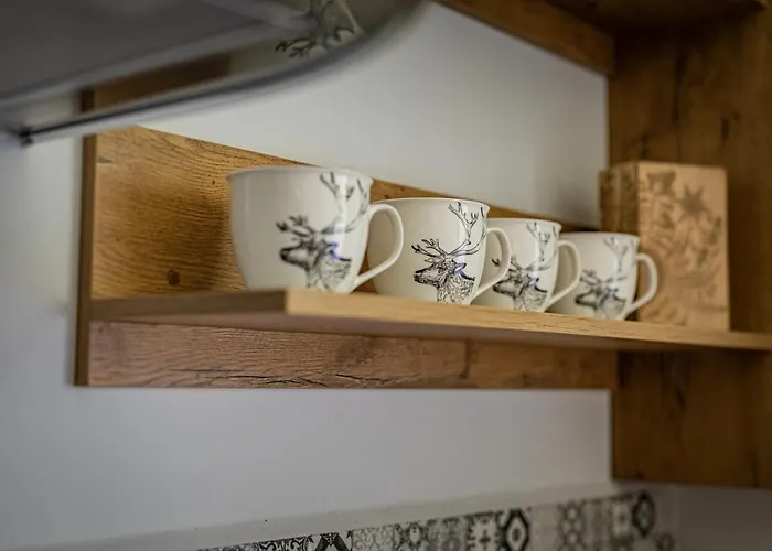 アパート Zacisze Pod Reglami & Sauna *